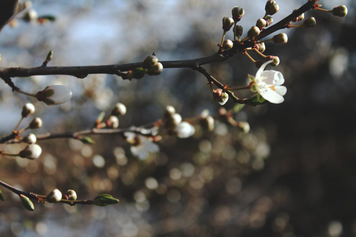 Folyamatosan megújított igen folyamatosan-megujitott-igen