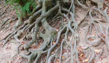 hogyan-imadkozzunk-a-mindennapok-forgatagaban