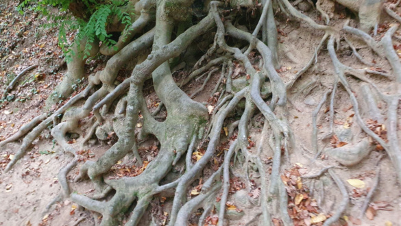 hogyan-imadkozzunk-a-mindennapok-forgatagaban