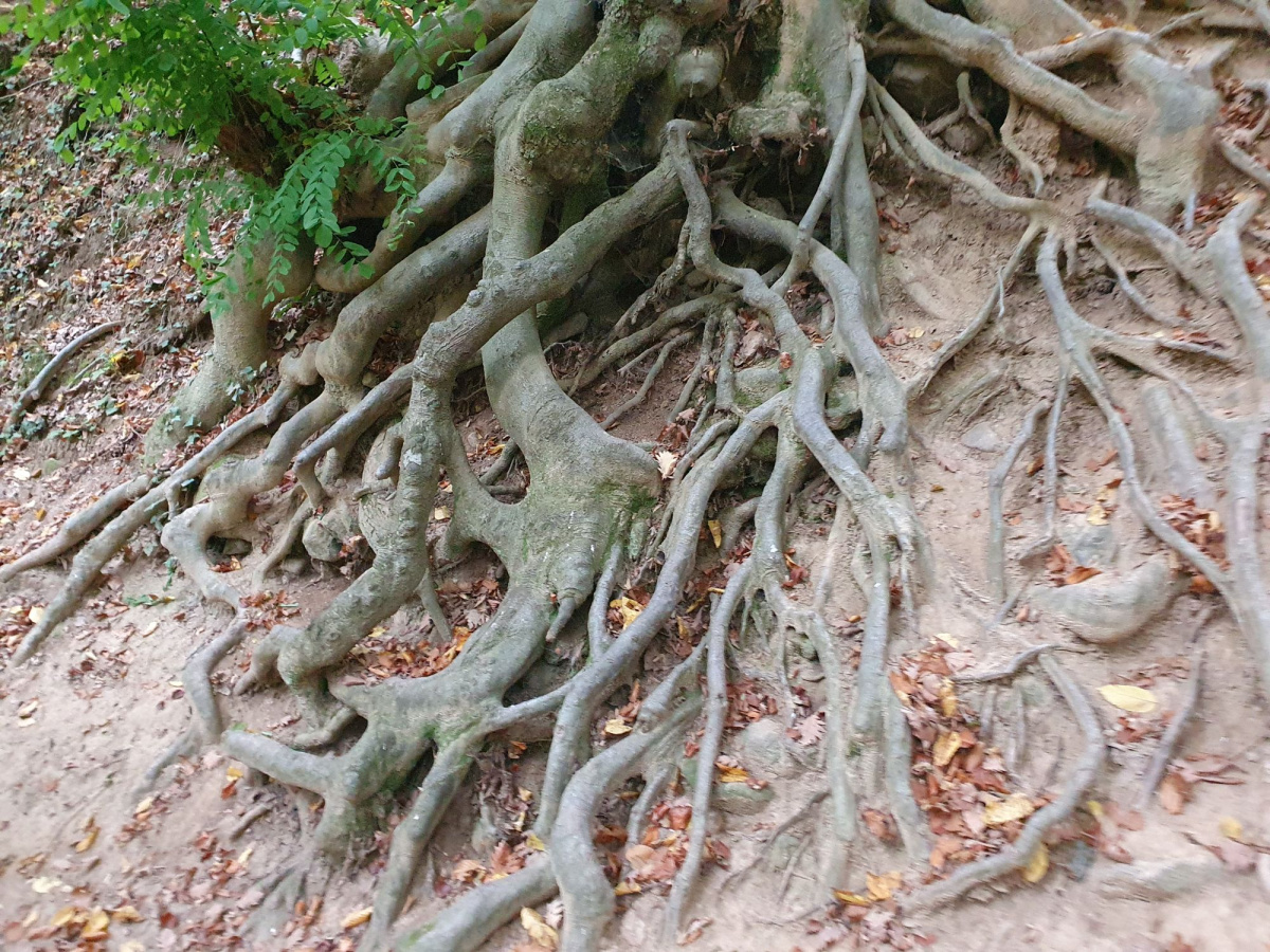 Hogyan imádkozzunk a mindennapok forgatagában? hogyan-imadkozzunk-a-mindennapok-forgatagaban