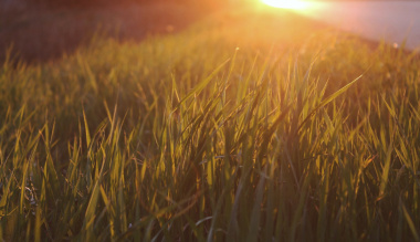 utazas-a-mennyorszagban-11-12-egy-uj-lelki-ut