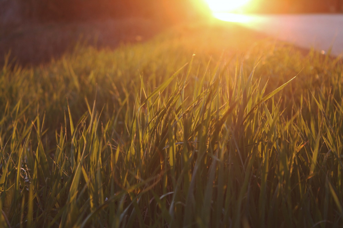 Utazás a Mennyországban 11/12: Egy új lelki út utazas-a-mennyorszagban-11-12-egy-uj-lelki-ut