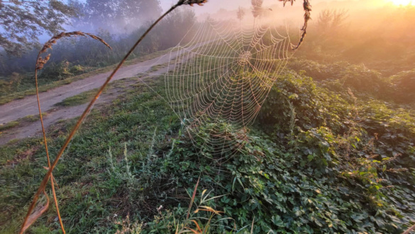 a-kortars-kultura-valsaga-3