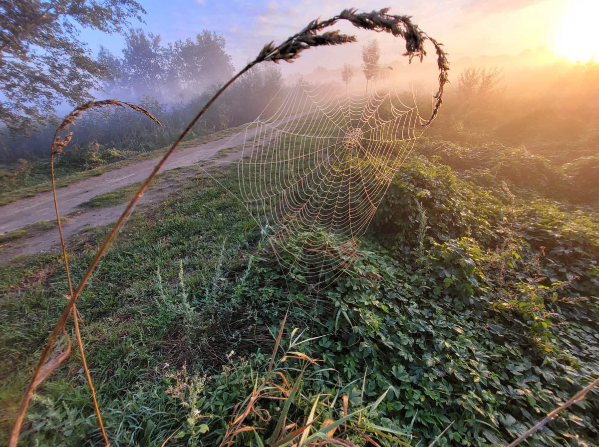 A kortárs kultúra válsága 3. a-kortars-kultura-valsaga-3