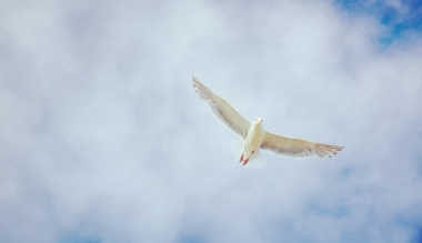 utazas-a-mennyorszagba-9-12-a-fold-az-en-mennyorszagom