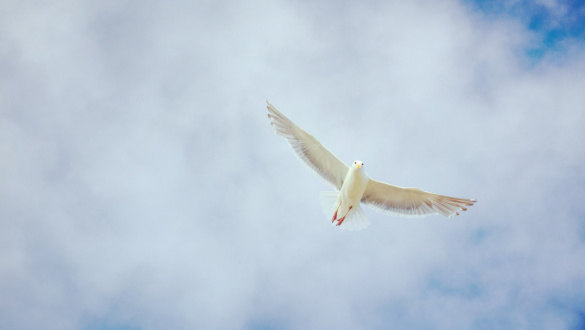 utazas-a-mennyorszagba-9-12-a-fold-az-en-mennyorszagom