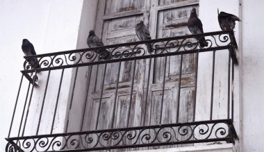 jarvanyok-az-irodalomban