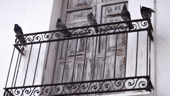 jarvanyok-az-irodalomban