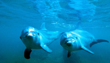 reszlet-uj-konyvunkbol-carlo-acutis-edesanyja-beszel-fiarol