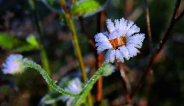 ertelemmel-a-lelki-egyensulyunkert-a-logoterapiarol