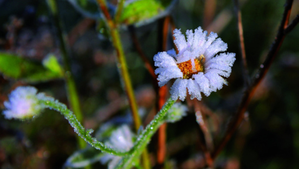 ertelemmel-a-lelki-egyensulyunkert-a-logoterapiarol
