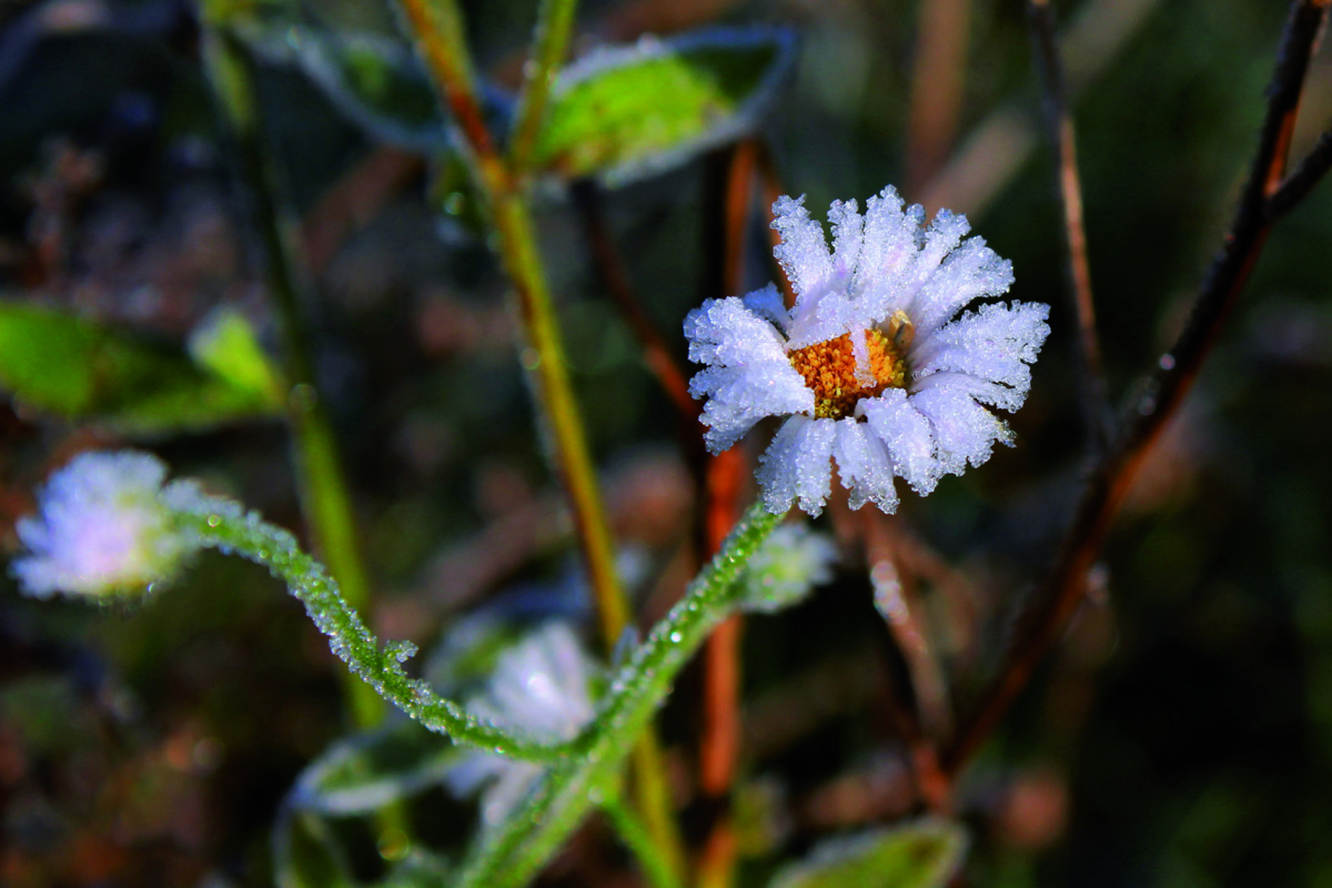 Értelemmel a lelki egyensúlyunkért – a logoterápiáról ertelemmel-a-lelki-egyensulyunkert-a-logoterapiarol