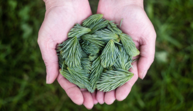 az-onfelforgatas-dicserete-konyvujdonsag