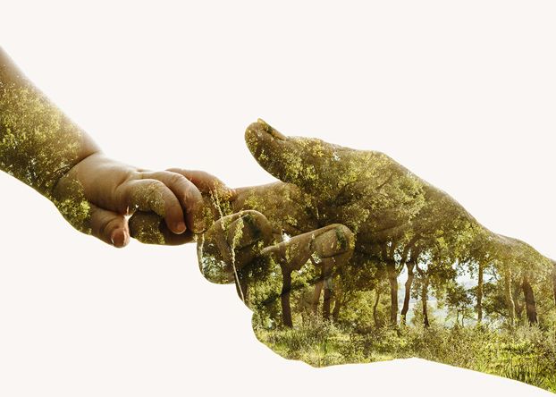 Ökológiai empátia: ha tiszteljük a természetet, emberi kapcsolataink is elmélyülnek okologiai-empatia-ha-tiszteljuk-a-termeszetet-emberi-kapcsolataink-is-elmelyulnek