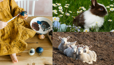 barany-gyertya-nyul-vagy-tojas