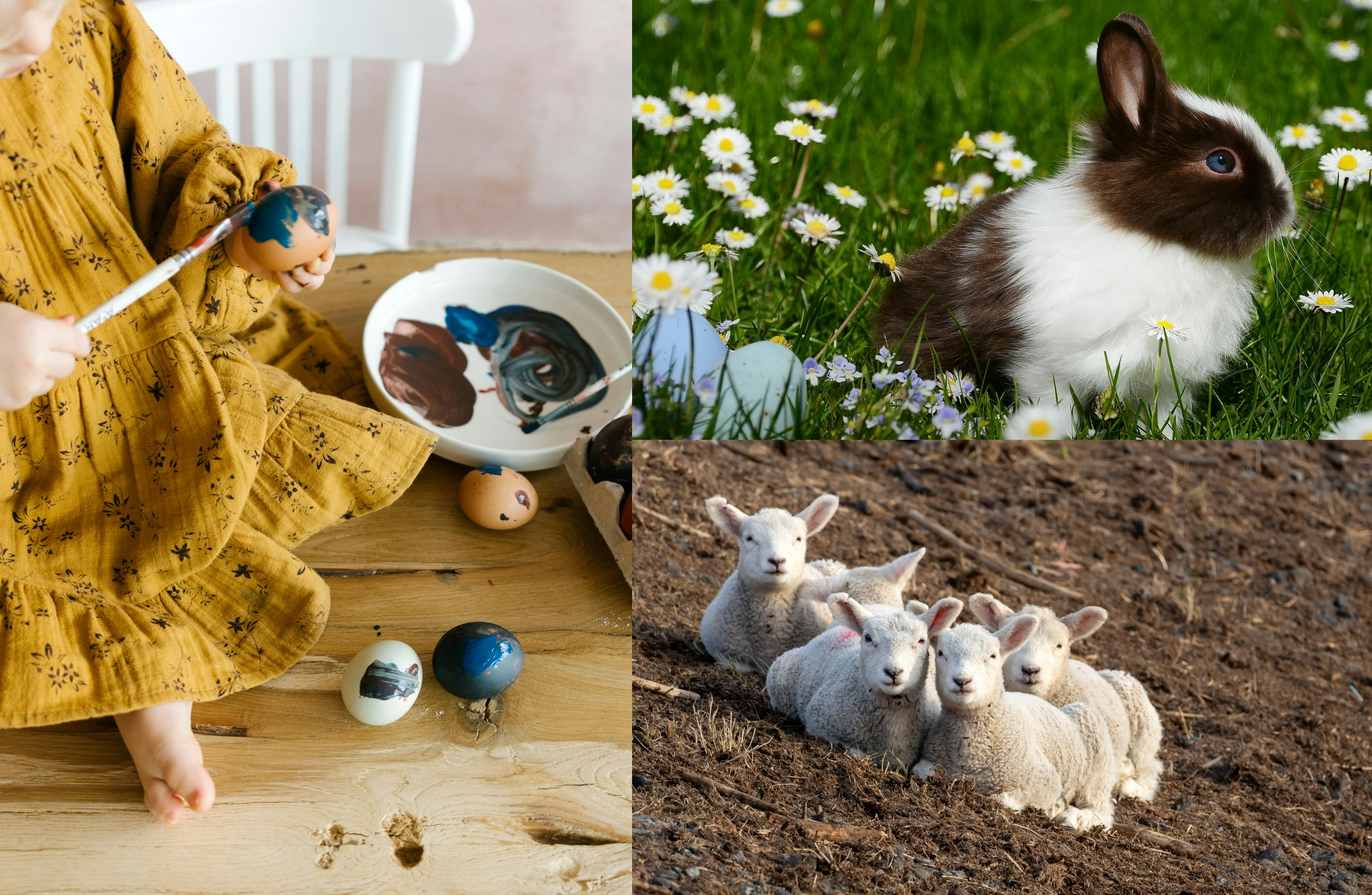 Bárány, gyertya, nyúl, vagy tojás? barany-gyertya-nyul-vagy-tojas