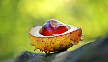 a-sebezhetoseg-pozitiv-tulajdonsag