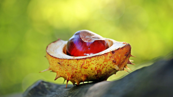 a-sebezhetoseg-pozitiv-tulajdonsag