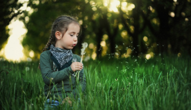 arnyas-ligetek-enyhet-ado-parkok