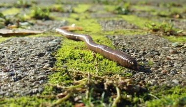 utazas-a-mennyorszagban-6-12-a-fold-ferge