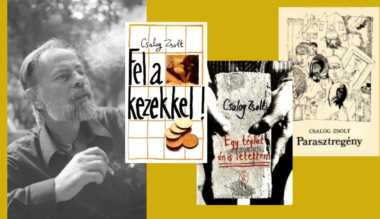 ha-tobben-olvasnanak-csalog-zsoltot-jobb-lenne-ez-az-orszag