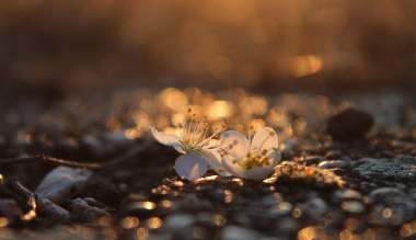 utazas-a-mennyorszagba-10-12-feny-karizmak-egyhaz