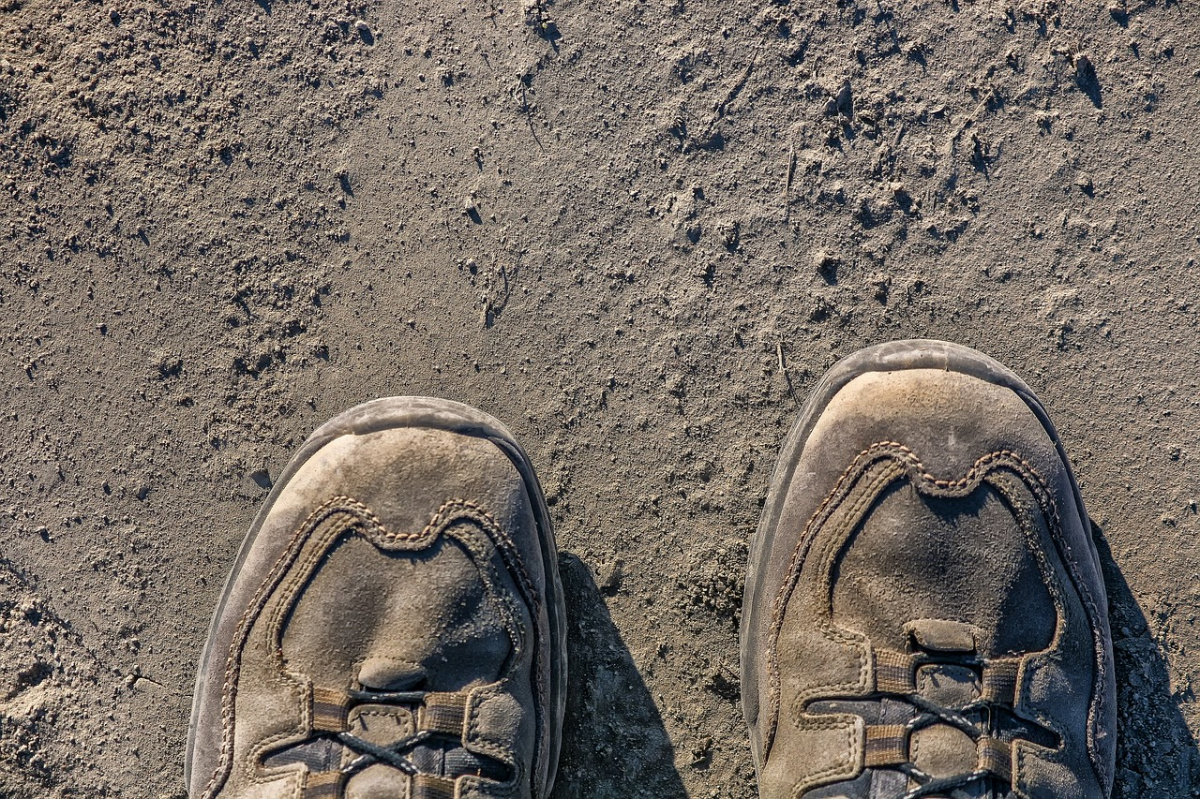 A csodák apró cseppjei a-csodak-apro-cseppjei