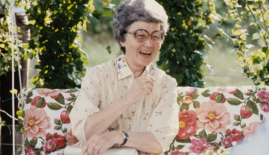 egy-vizio-vonzasaban