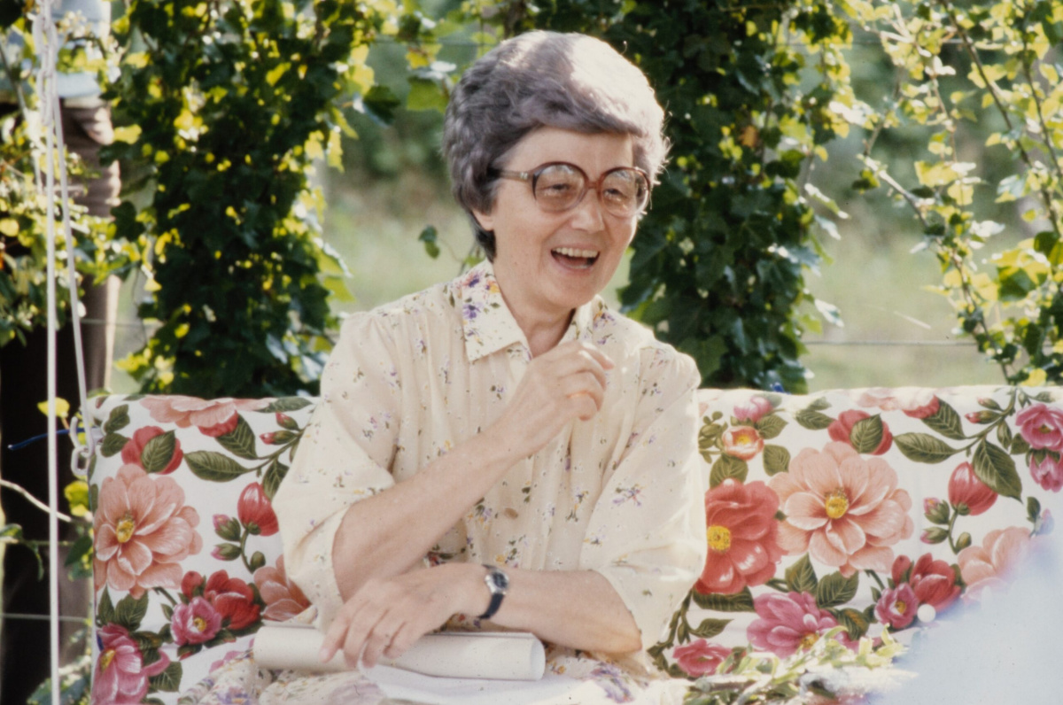 Egy vízió vonzásában egy-vizio-vonzasaban