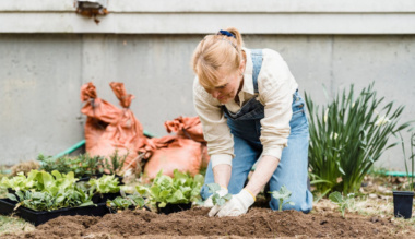 az-elet-igeje-2024-junius