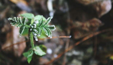 eletige-februar-hiszek-segits-hitetlensegemen