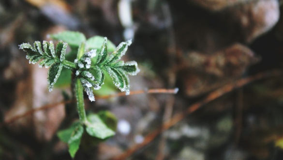 eletige-februar-hiszek-segits-hitetlensegemen