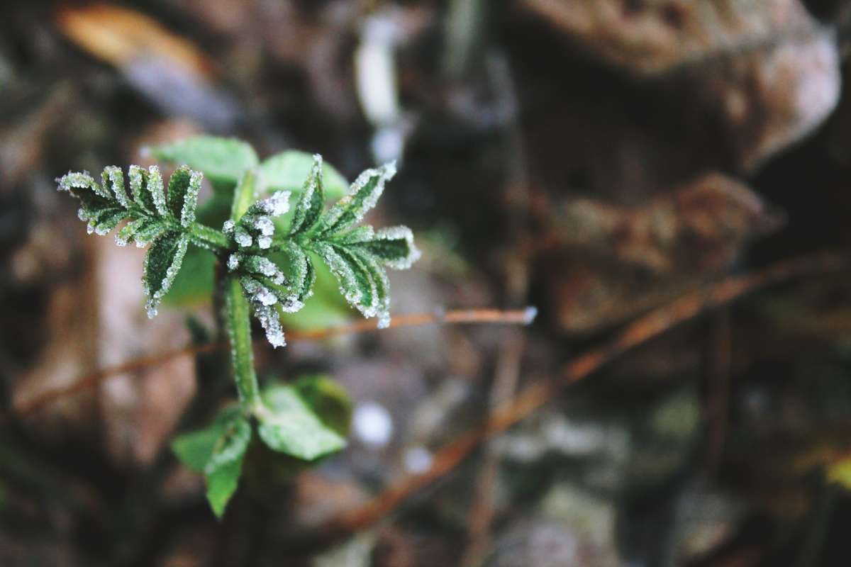 „Hiszek! Segíts hitetlenségemen!” eletige-februar-hiszek-segits-hitetlensegemen