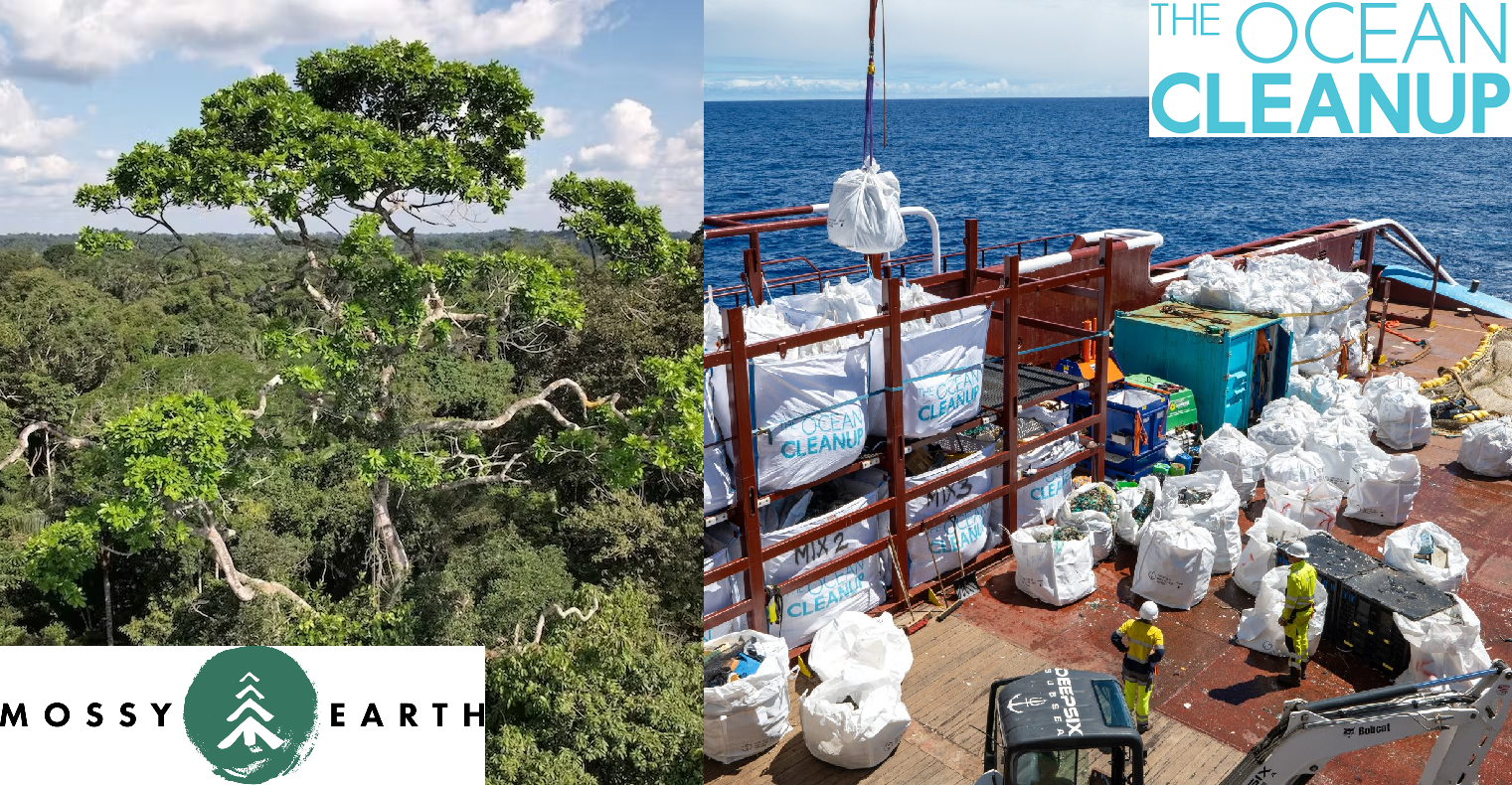 Faültetéstől az óceántisztításig – hol járnak a nagy környezetvédő projektek? faultetestol-az-oceantisztitasig