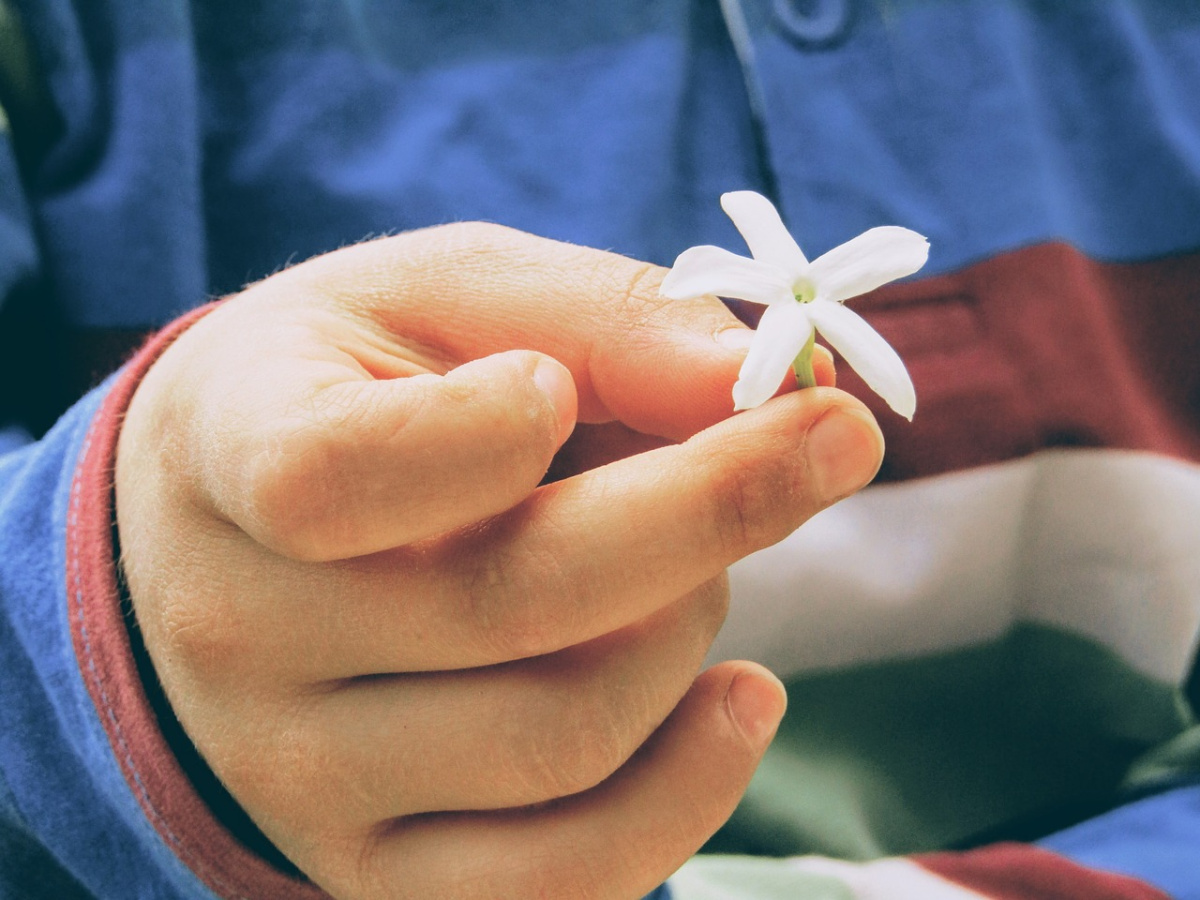 Szelídség: a vallásos felfuvalkodottság ellenszere szelidseg-ami-megved-a-vallasos-felfuvalkodottsagtol