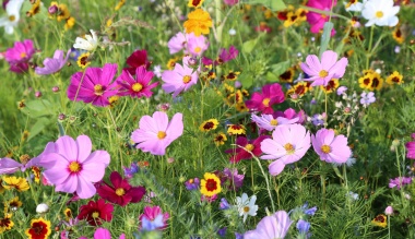 a-szeretet-apro-tettei-a-nagyvilagbol