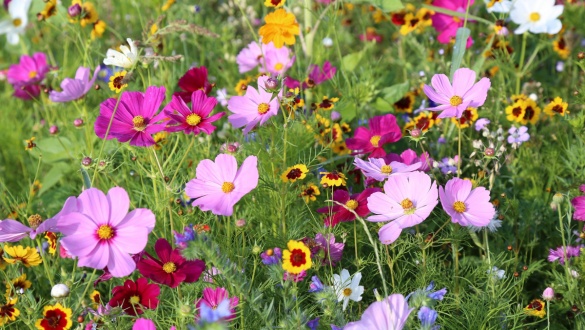 a-szeretet-apro-tettei-a-nagyvilagbol