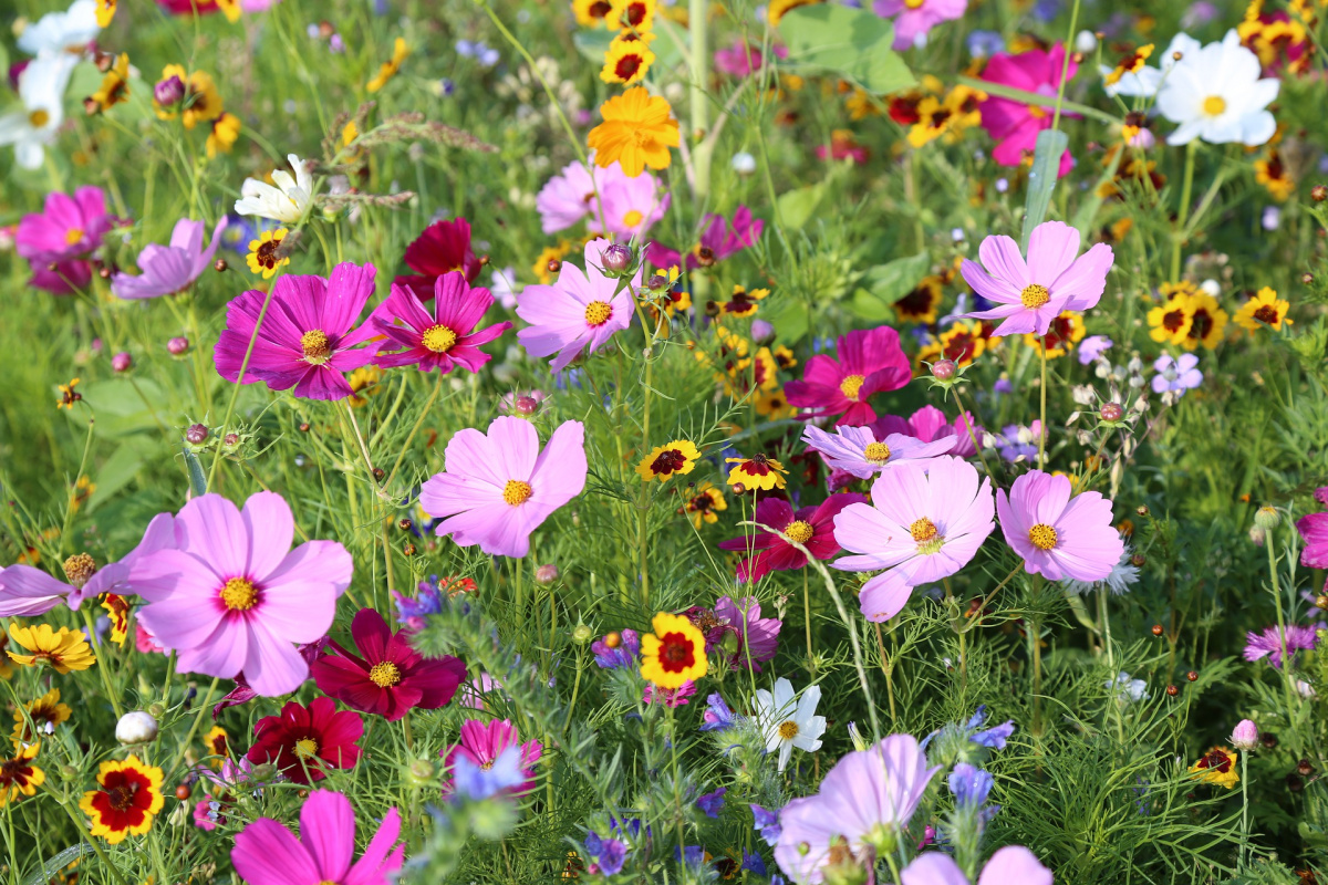 A szeretet apró tettei a nagyvilágból a-szeretet-apro-tettei-a-nagyvilagbol