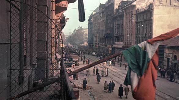 xii-piusz-enciklikaja-a-magyarokert-1956-ban