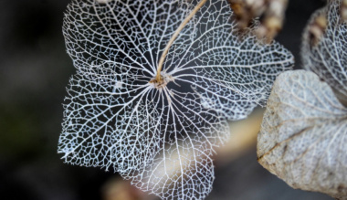 most-kozelebb-vagyunk-egymashoz-mint-valaha