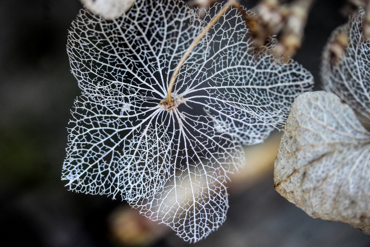 Most közelebb vagyunk egymáshoz, mint valaha most-kozelebb-vagyunk-egymashoz-mint-valaha