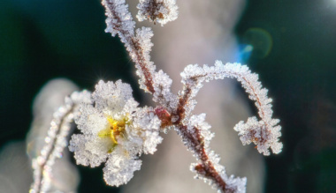 nagyszombat-csendjeben