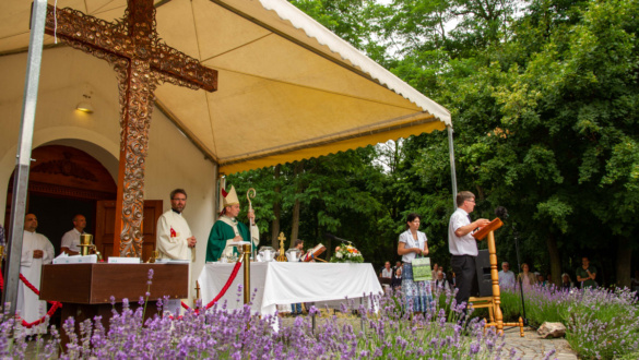 a-schonstatt-csaladmozgalomrol-beszelgettunk-torok-endredy-orsolyaval