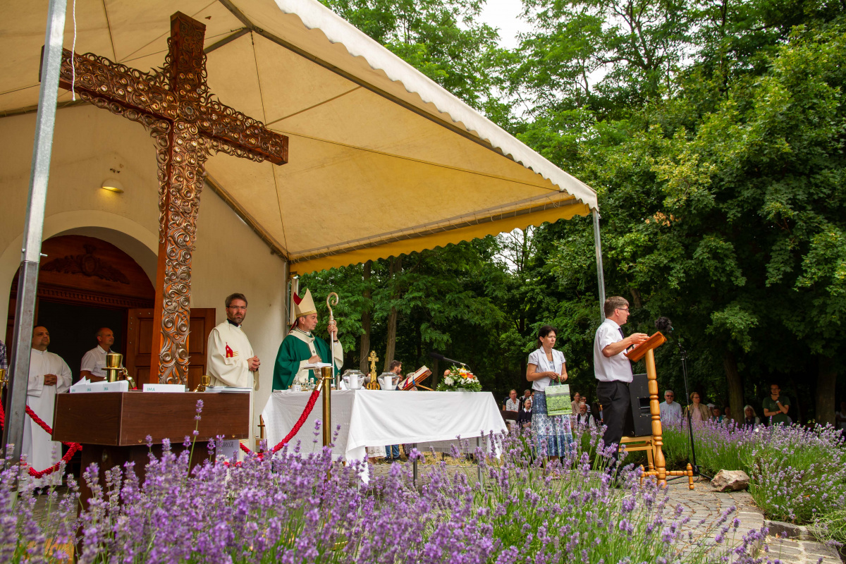 A Schönstatt családmozgalomról beszélgettünk Török-Endrédy Orsolyával a-schonstatt-csaladmozgalomrol-beszelgettunk-torok-endredy-orsolyaval
