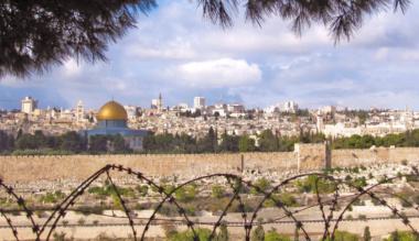 a-haborura-a-valasz-a-tisztelet-kiskortol-kezdve