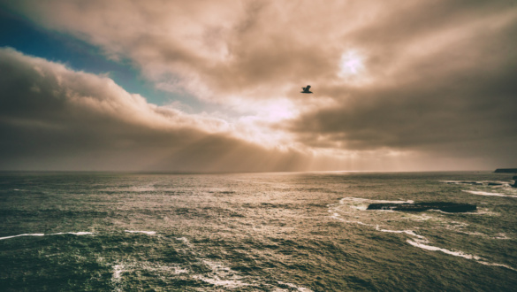 ezekiel-kiszaradt-csontjai