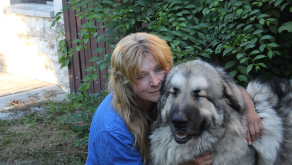 allatvedelemre-neveles-a-kanga-alapitvany-tortenete