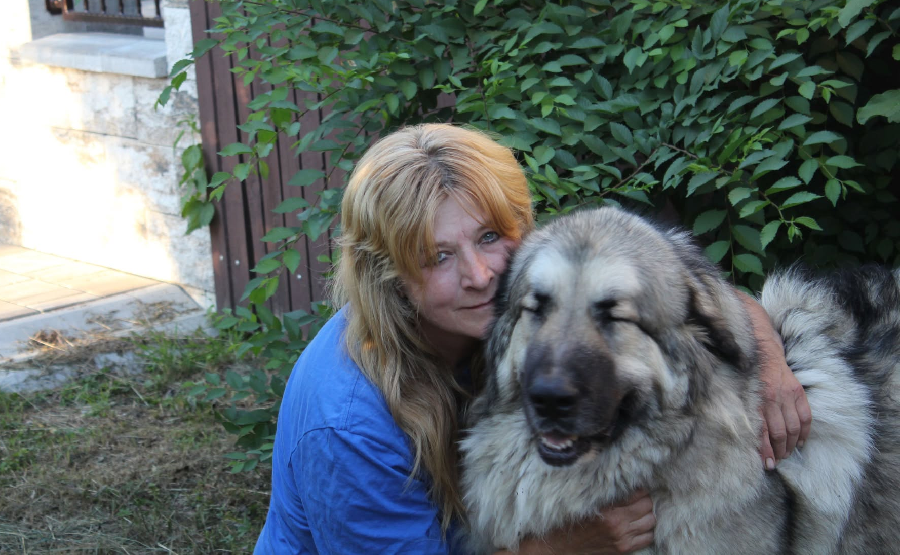 Állatvédelemre nevelés: a Kanga Alapítvány története allatvedelemre-neveles-a-kanga-alapitvany-tortenete