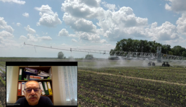 szalmapaplan-es-elo-gyokerzet-365-napon-at-interju-szeredi-attila-gazdalkodoval