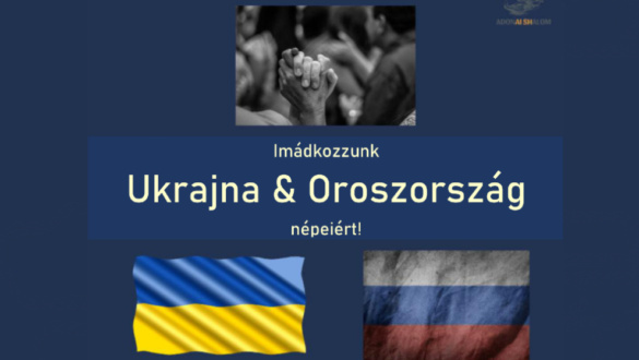 kitort-a-haboru-mit-tehetek-en